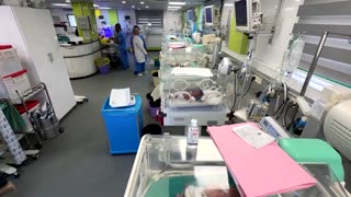 The Gaza twins who have known nothing but war