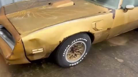 Trans am