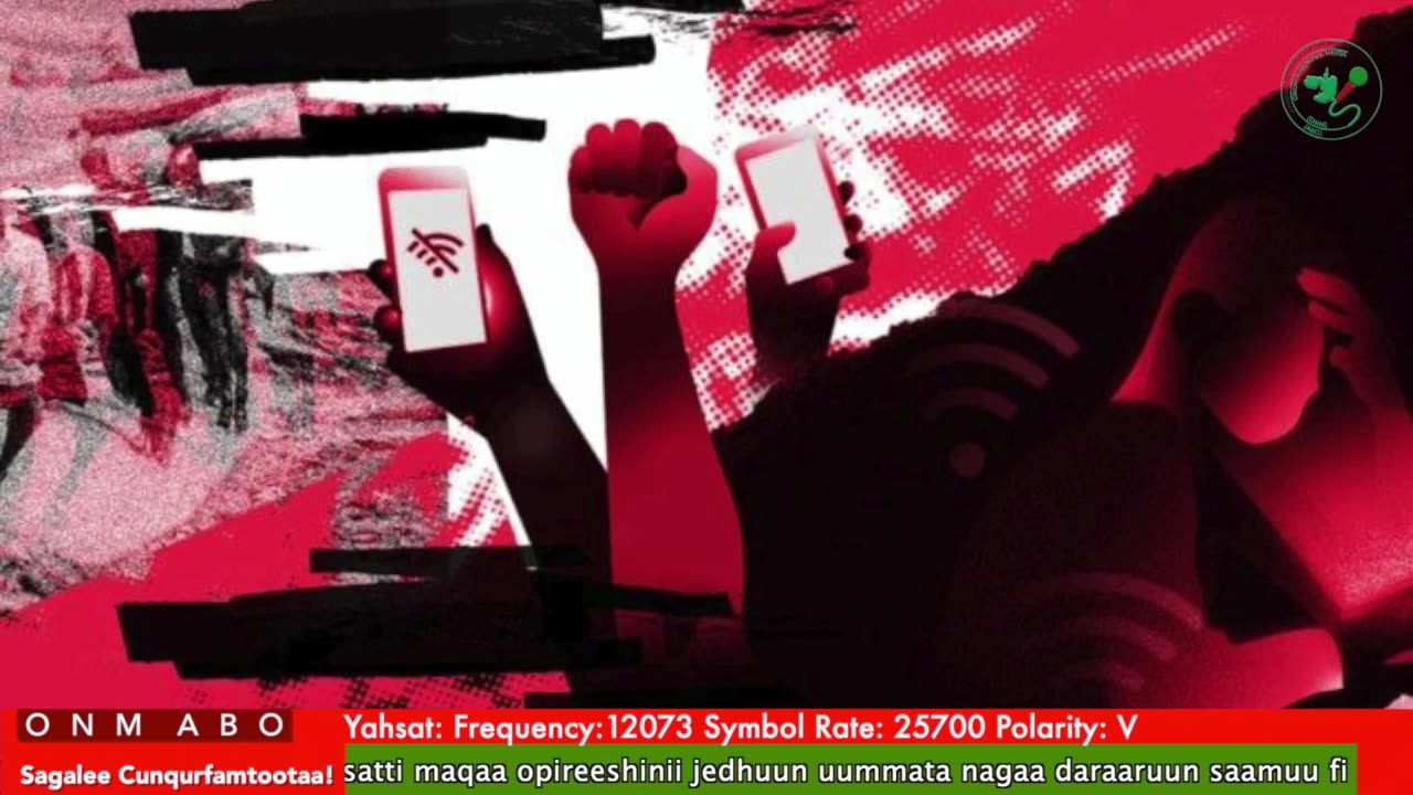 Oduu Ganama ONM-ABO Fulbaana 27-2025 itti dhiyaadhaa!