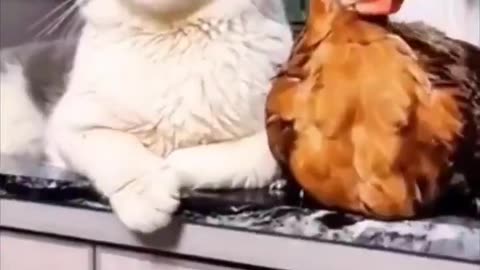 Woe Day 128. I am in the ark. Waiting for GOD to open the Door for a spring/summer Pentecost rapture