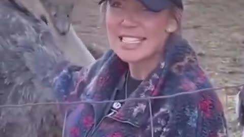 The real reason the Canadian Government killed all those ostriches