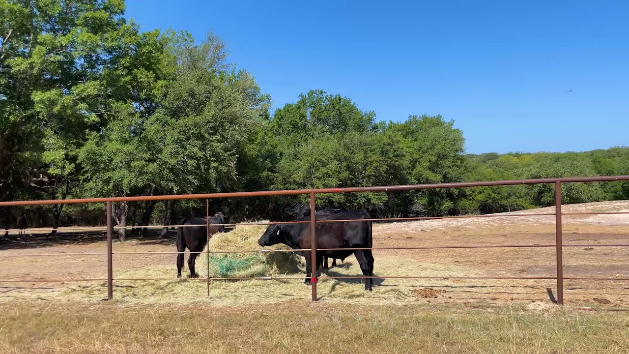 364 Private Rd 3633 Detailed tour