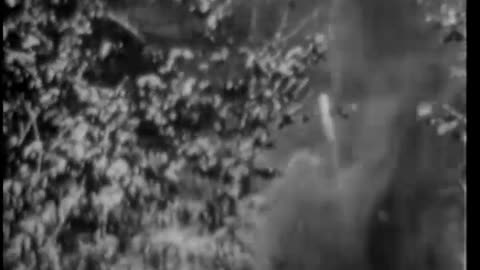 WINGED GUARDIANS OF THE FOREST - WINGED GUARDIANS OF THE FOREST - 33-98