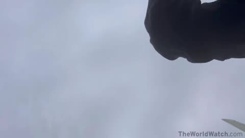 Chinese consulate security guard in Los Angeles arrested after pepper-spraying Taiwanese protesters