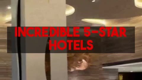 Mighty Travels PREMIUM Walkthrough: Business Class & 5-Star Hotels You CAN Afford!