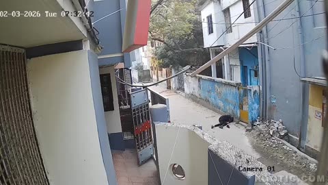 Driver Beaten With Hammer- Bangladesh