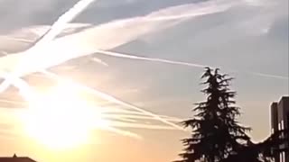 Look UP!