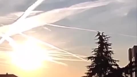 Look UP!