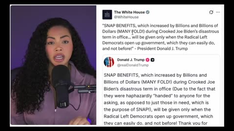 Democrat Created Crisis Causing Jet Crash - EBT Causing Inflation Of Food