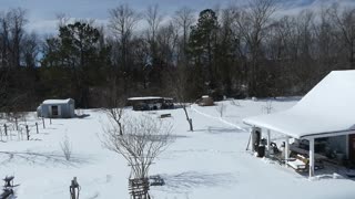 Winter from a birds eye view