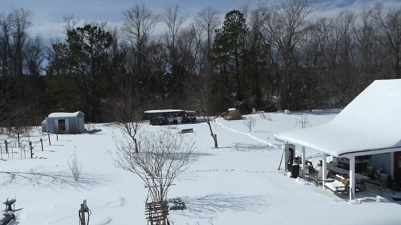 Winter from a birds eye view