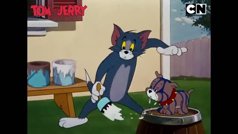 Tom and Jerry