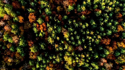 Focus Mode: Classical Lofi Blend