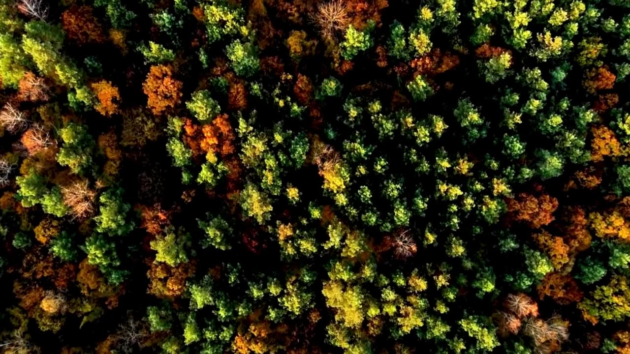 Focus Mode: Classical Lofi Blend