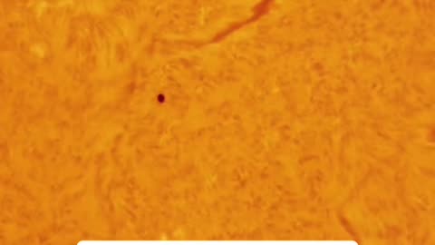 🛸🌞 UFO / UAP Caught Flying Over the Sun on May 10, 2025 | TheTruthAbove