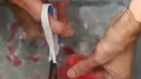 ✨🧠 Cutting Glass Underwater Is Surprisingly Easy! | FeedMyCuriosity