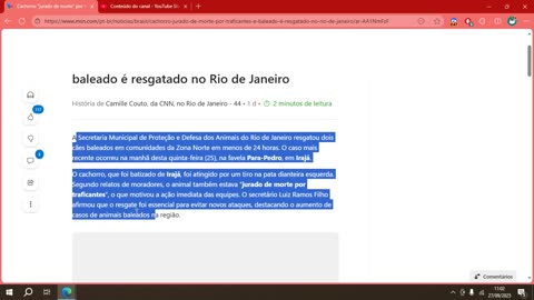 Cachorro “jurado de morte” por traficantes e baleado é resgatado no Rio de Janeiro