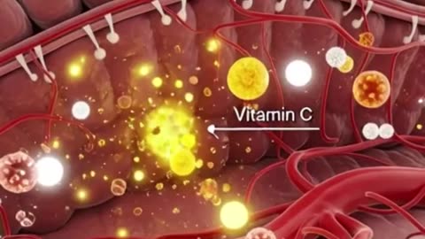 effect of taking lemon in human body #facts #science #human #lemon
