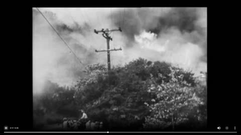 Devastating forest fire in America (1942)