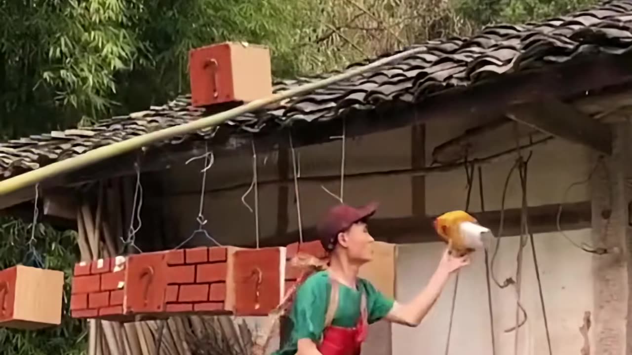 💡✨ A Clever Hack You'll Wish You Knew Sooner | LifeHacksDaily