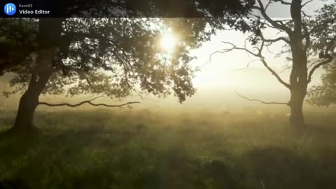 THE LIGHTHOUSE, cover, The Hinson Family 1971