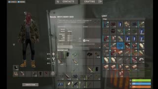 Rust pve