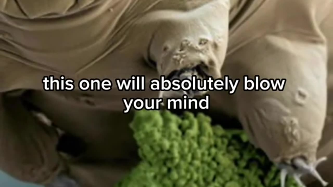 Craziest things you didn't know animals could do!