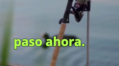 😊 176 TODO LO QUE BUSCAS, TE ESTÁ BUSCANDO A TI 😊