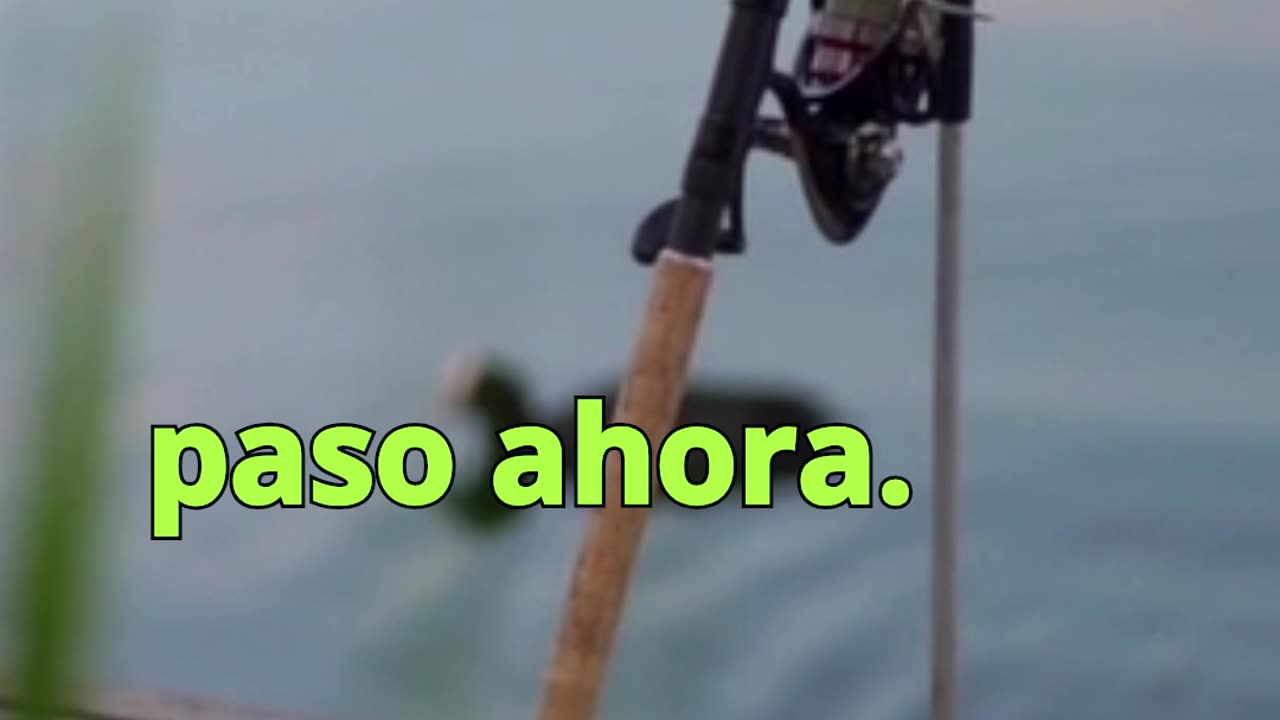 😊 176 TODO LO QUE BUSCAS, TE ESTÁ BUSCANDO A TI 😊