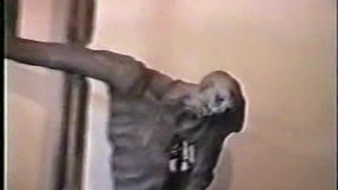 The Truth Behind the Gates of Auschwitz 1of2