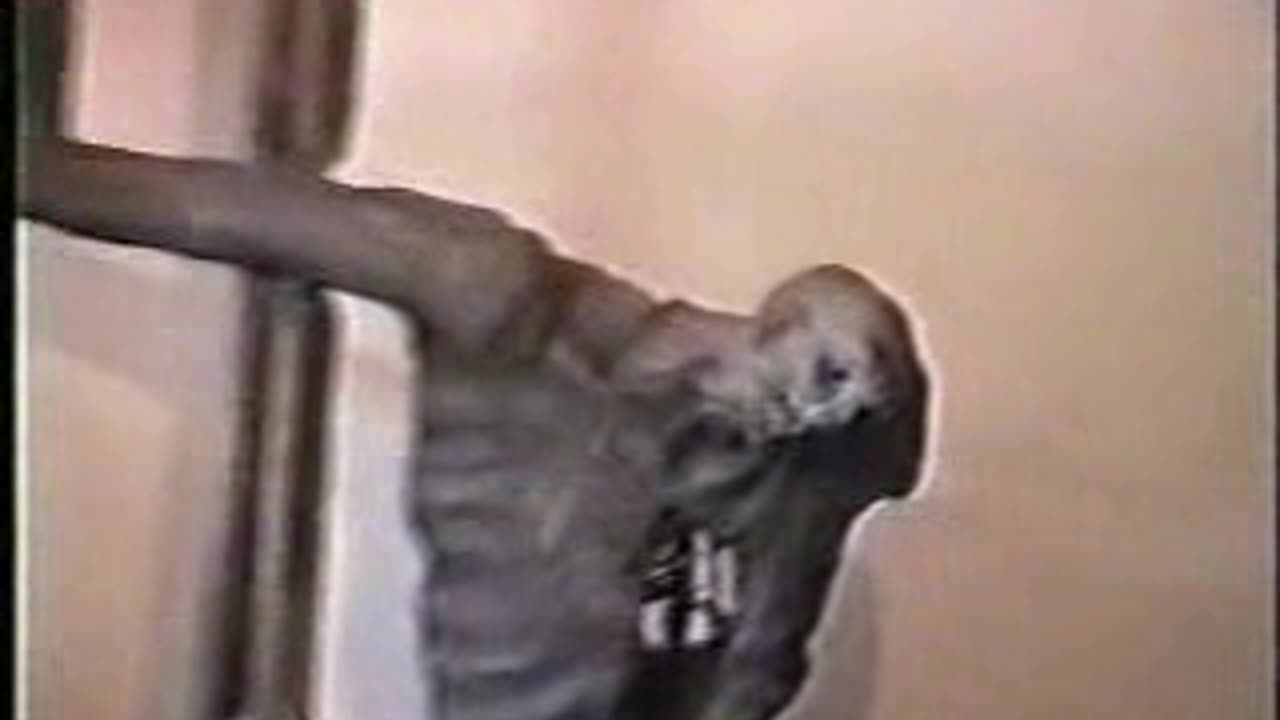 The Truth Behind the Gates of Auschwitz 1of2