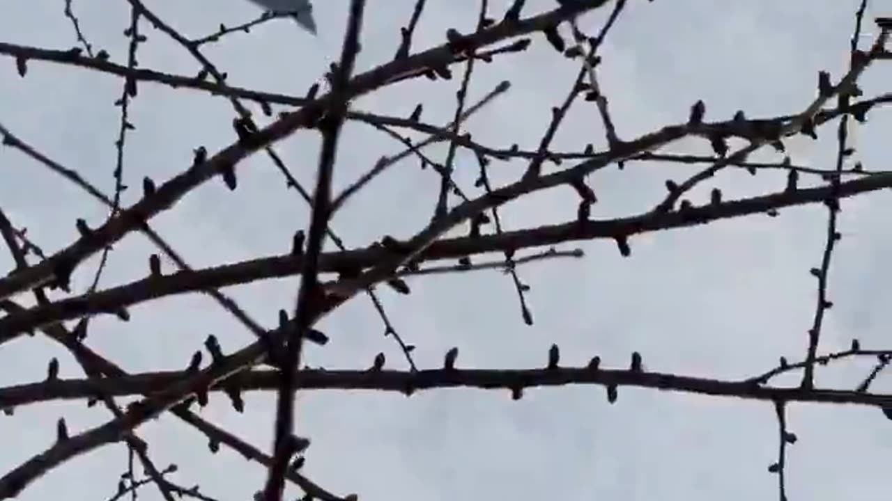 “Skynet enabled ufo style stealth fighter. Footage from china....“