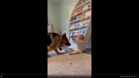 Millions of views on social media - Dog saves life of baby... BUT - read below vid