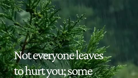 Sometimes Losing Someone is the Best Freedom You’ll Ever Get 💔✨