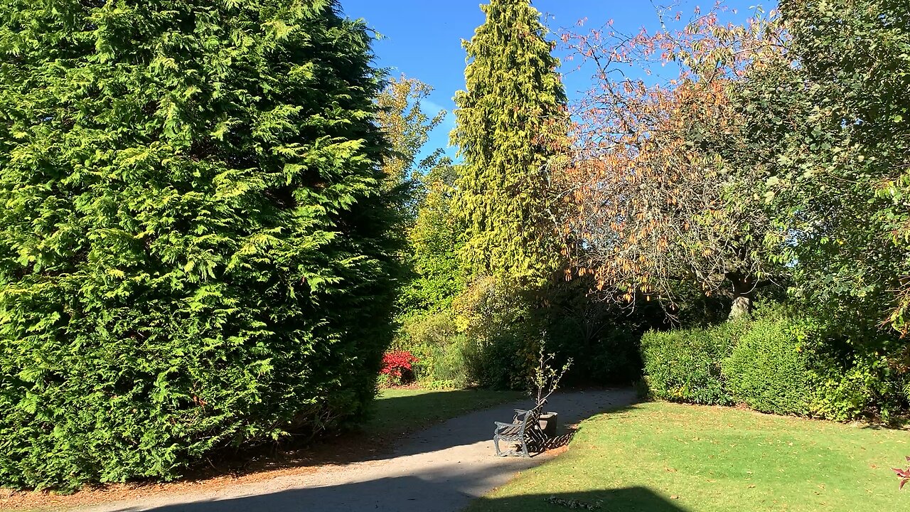 Belfield Park, Inverness