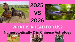 EXCELLENT NEWS - WHAT CAN WE EXPECT IN 2026?