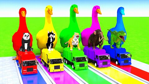 5 Giant Duck Cartoon & Wild Animals Crossing Fountain | Animated Kids Video