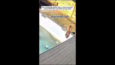 cute story