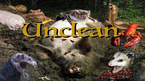 Unclean