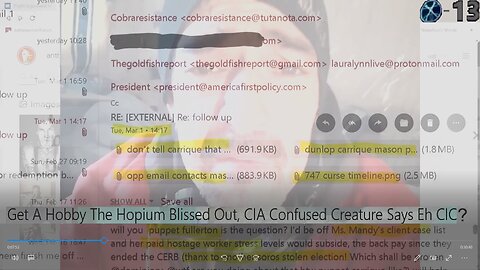 Get A Hobby The Hopium Blissed Out, CIA Confused Creature Says Eh CIC?
