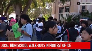 Florida: A Teen Student, Protesting as ANTI-ICE, is HIT by a car - Palm Beach
