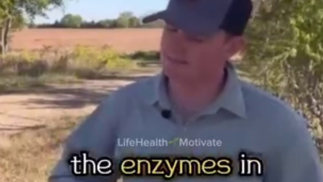 Pasteraesed Milk Correctly Exposed by an Honest Righteous Farmer