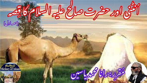 She-camel and Hazrat Salih (AS) (Part-1)शेकमेल और पैगंबर اونٹنی اور حضرت صالح علیہ السلام کا قصہ