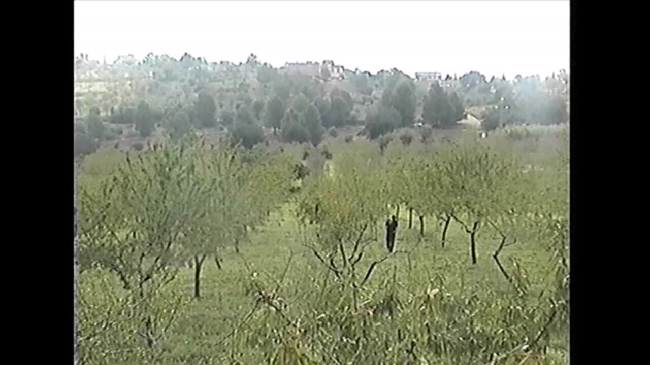 "Mallorca, II"- videoart, 2005