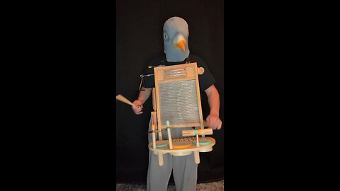 Pigeon practices percussions