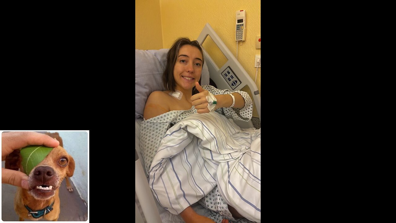 Funny videos compilation 27