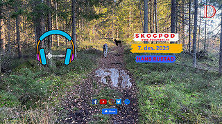 Skogpod 7. desember 2025