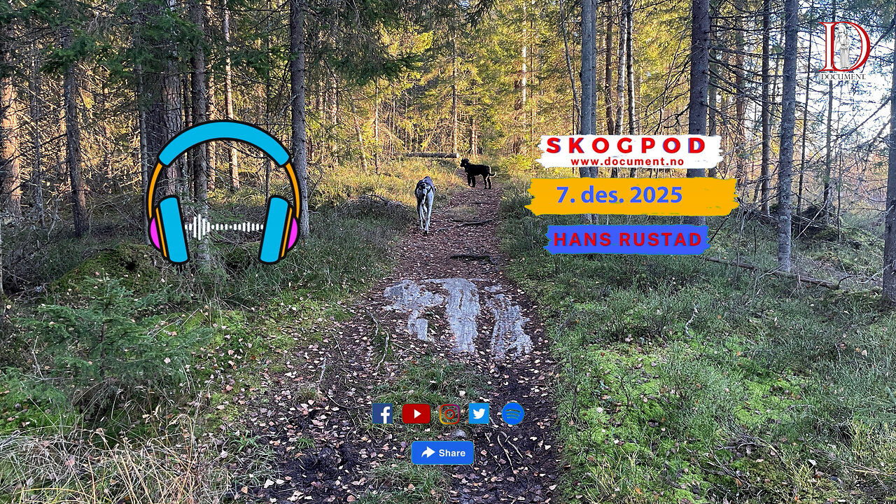 Skogpod 7. desember 2025