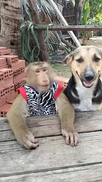 Good Job Best SokYaa, OG, Pao & Mom Are Famous Around The World #shorts #anime #trend #edit