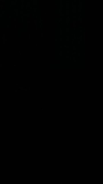 Five Lighters for a £1